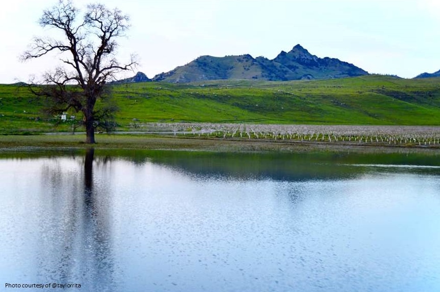 Rita - trees and water